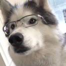 user_img