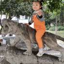 user_img