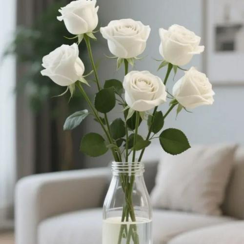user_img