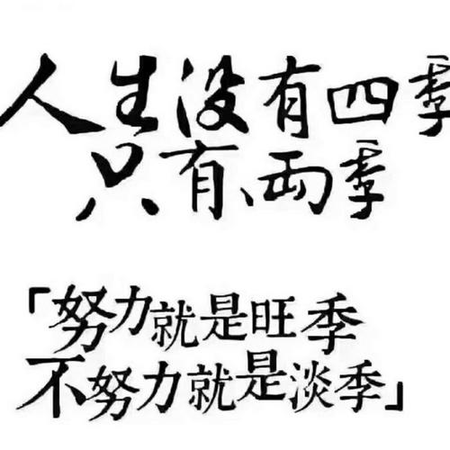 user_img