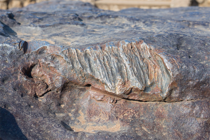 The manufacturing PMI in January was 49.3%